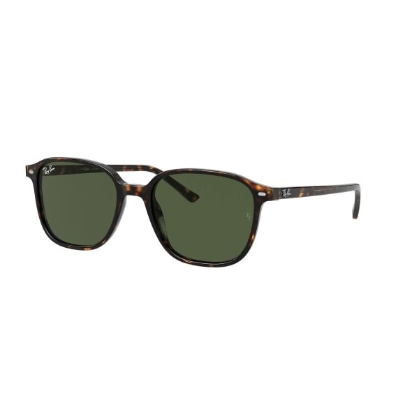 Ray-Ban Leonard RB2193 902/31 51