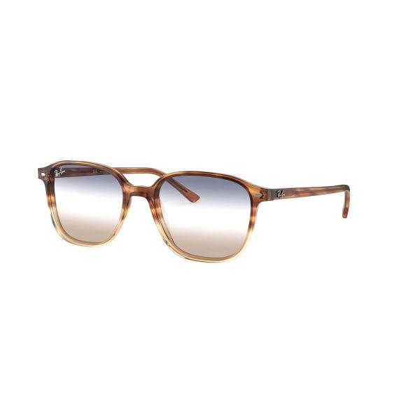 Ray-Ban Leonard RB2193 1328GD 5318