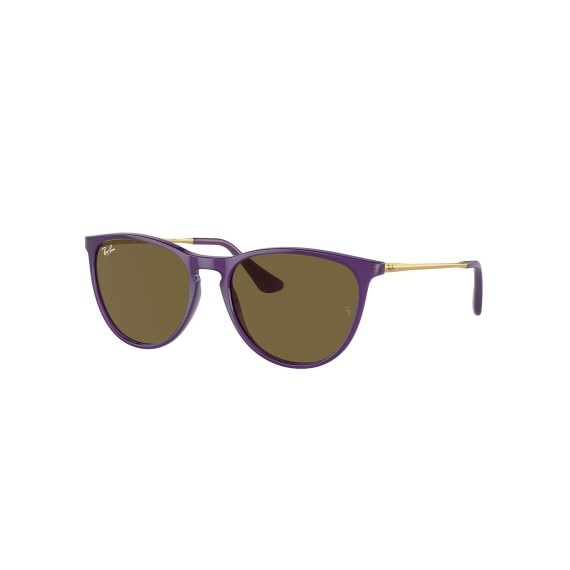 Ray-Ban Junior Erika RJ9060S 713173 5015