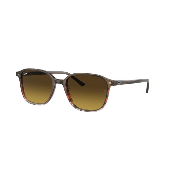 Ray-Ban Leonard RB2193 138085 5518