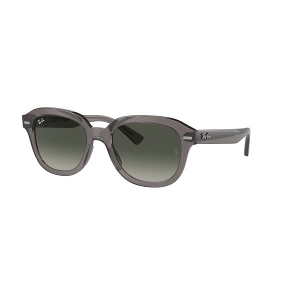 Ray-Ban Erik RB4398 667571 5320