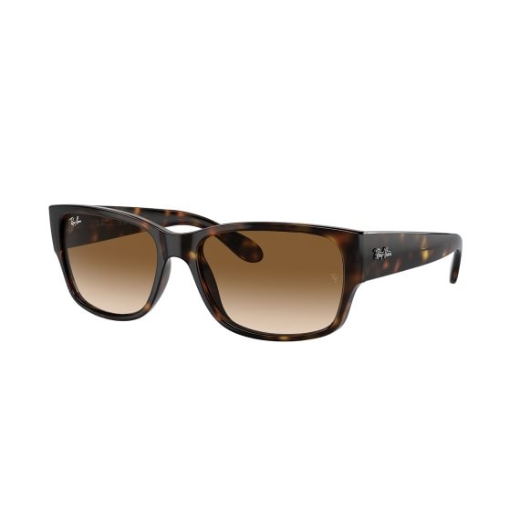 Ray-Ban RB4388 710/51 5818