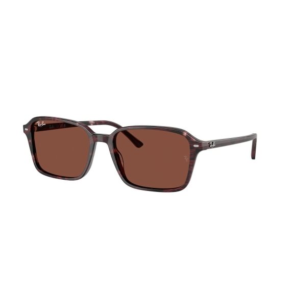 Ray-Ban Raimond RB2231 1416C5 5818