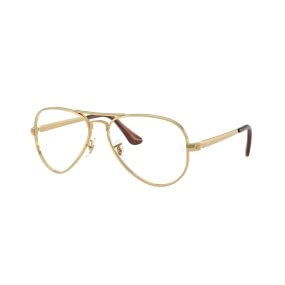 Ray-Ban RX3925V 2500 5816